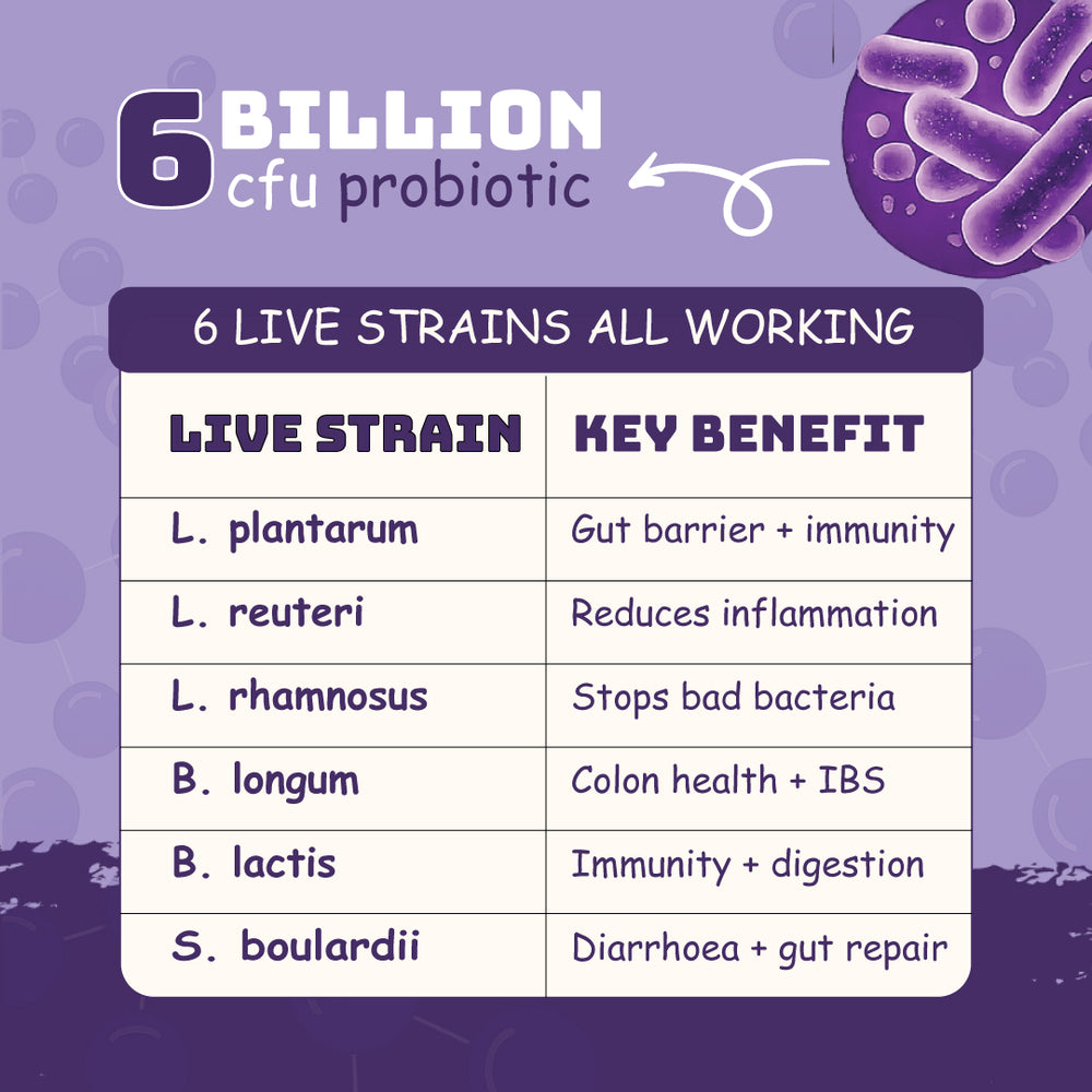 Berry Chocolate Protein | 26g Protein 5g Collagen