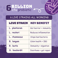 Berry Chocolate Protein | 26g Protein 5g Collagen