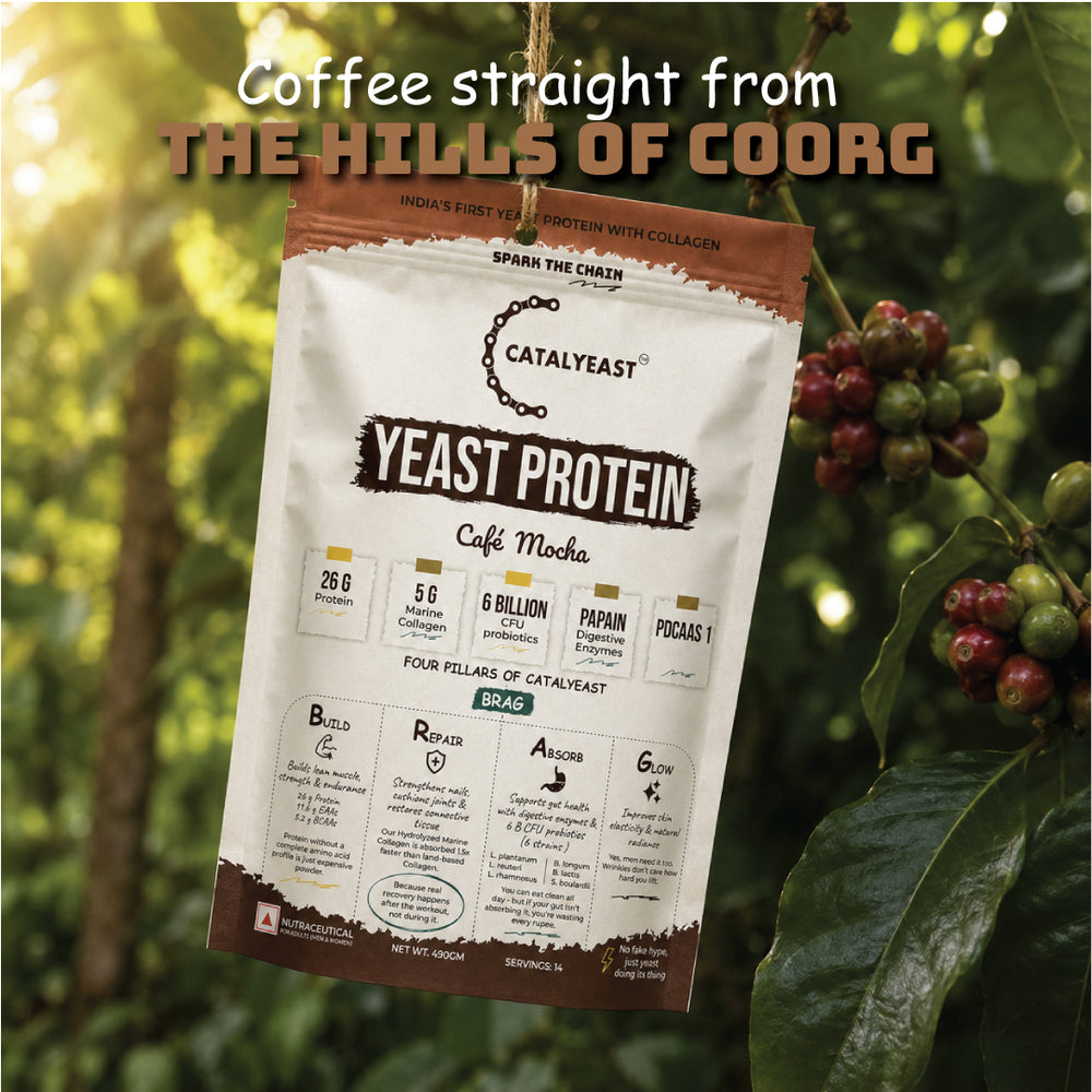 Café Mocha Protein Coffee | 26g Protein, 5g Collagen