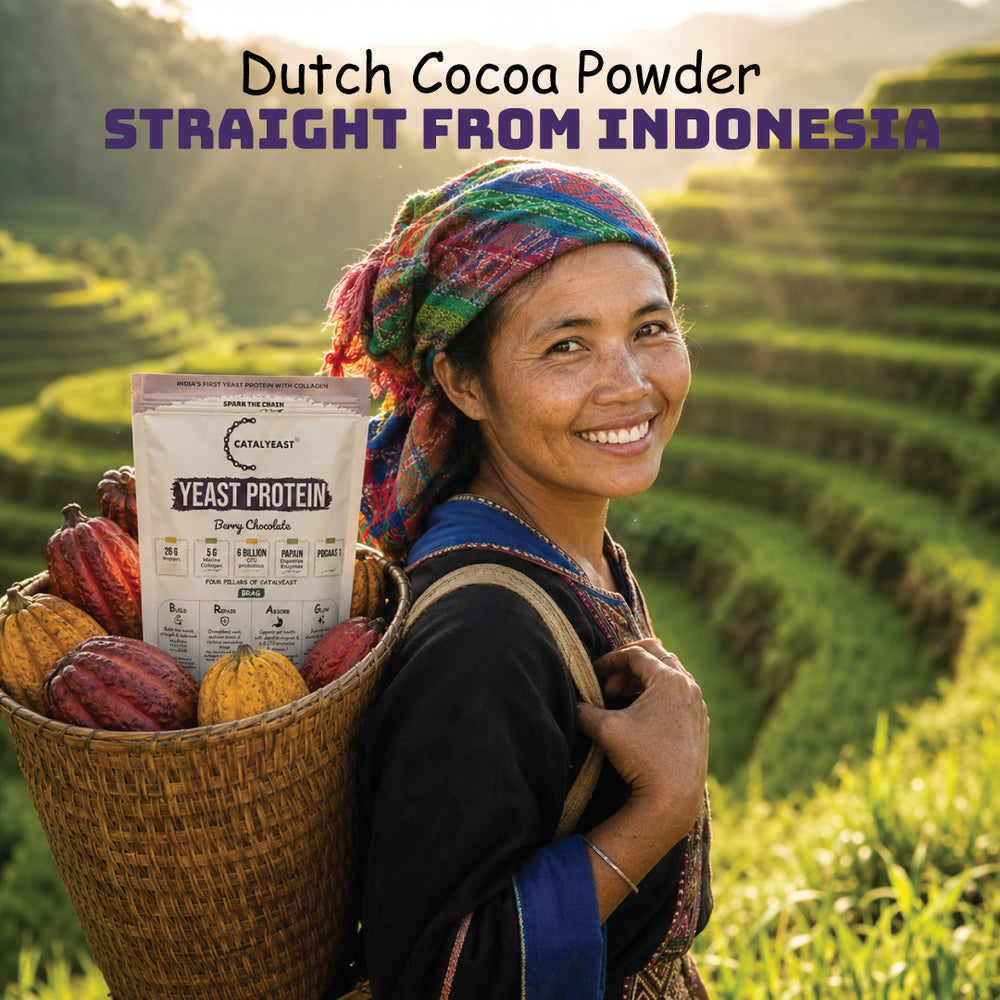Berry Chocolate Protein | 26g Protein 5g Collagen