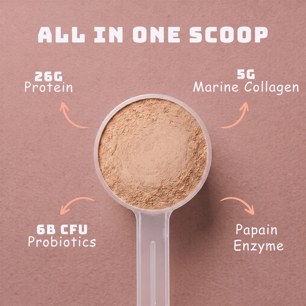 Café Mocha Protein Coffee | 26g Protein, 5g Collagen