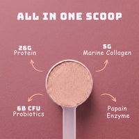 Berry Chocolate Protein | 26g Protein 5g Collagen