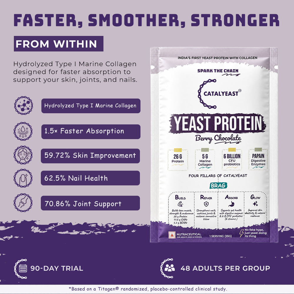 Berry Chocolate Protein | 26g Protein 5g Collagen
