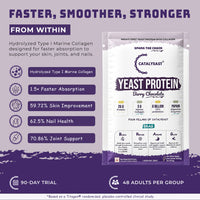 Berry Chocolate Protein | 26g Protein 5g Collagen